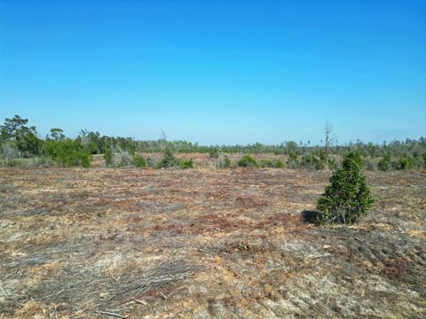 Tiny photo for TBD Lot #1, Carlos Peavy Road, Blountstown, FL 32424 (MLS # 397667)
