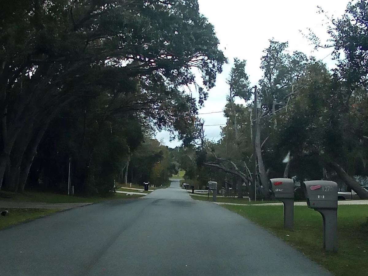 1139 E McKinley Street