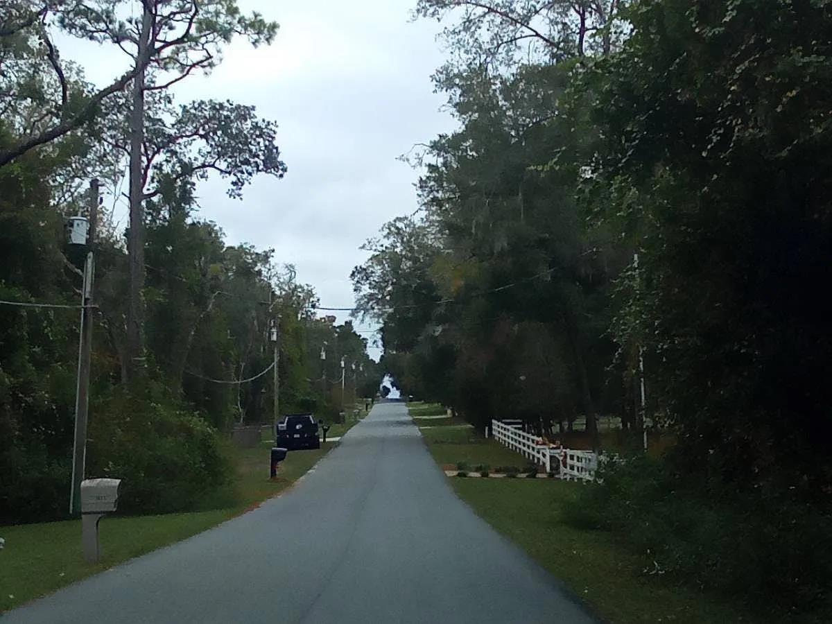 1139 E McKinley Street