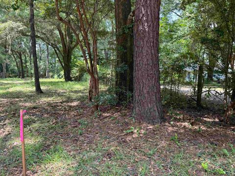 Tiny photo for Parramore Shores Road, Tallahassee, FL 32310 (MLS # 392941)