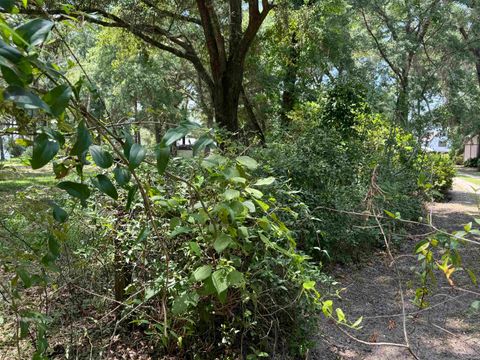 Tiny photo for Parramore Shores Road, Tallahassee, FL 32310 (MLS # 392941)