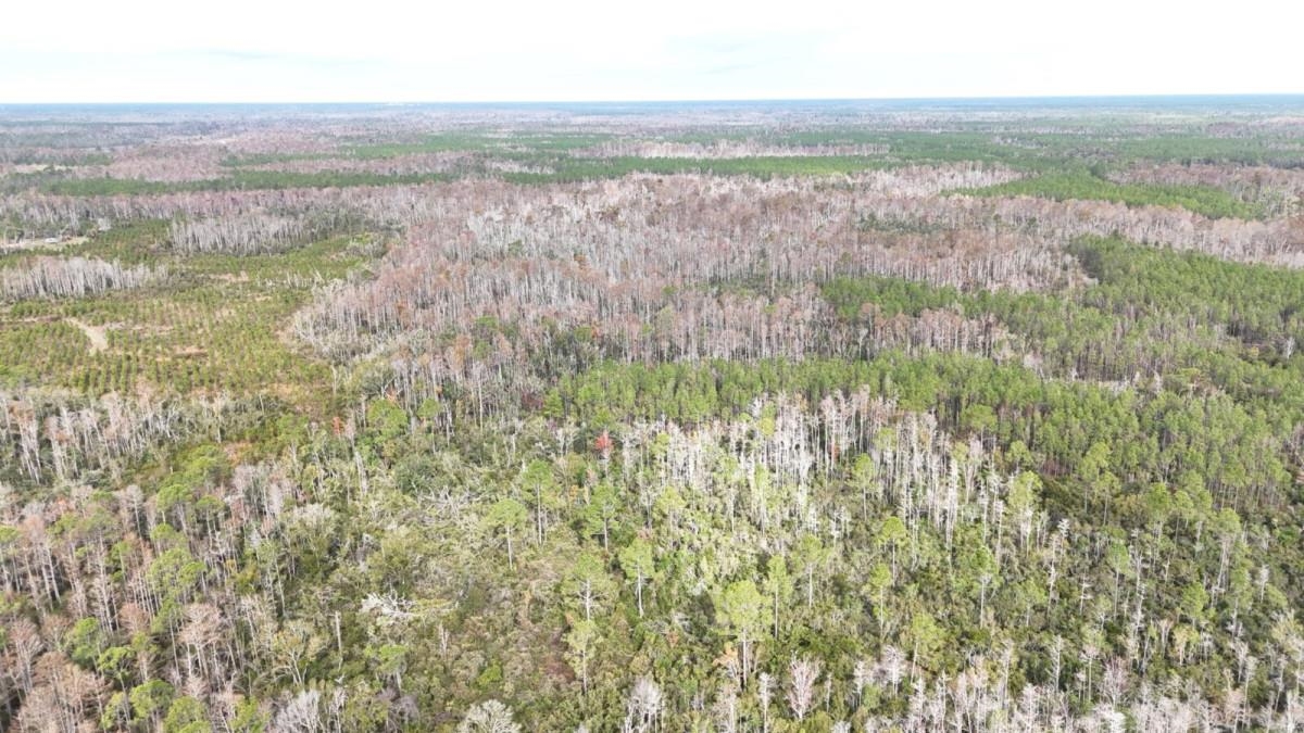 0 Airport Grade Road