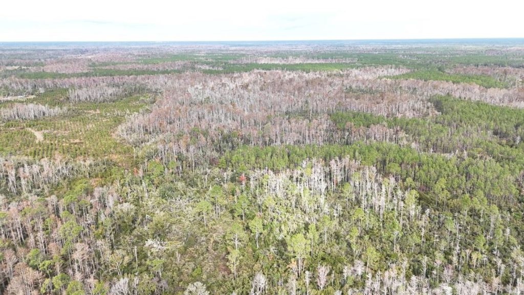 Photo of 0 Airport Grade Road, Perry, FL 32348 (MLS # 394352)