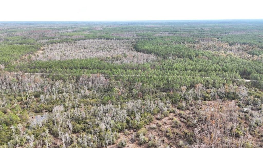 Photo of 0 Airport Grade Road, Perry, FL 32348 (MLS # 394352)