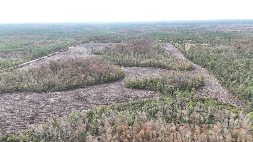 Photo of 0 Airport Grade Road, Perry, FL 32348 (MLS # 394352)