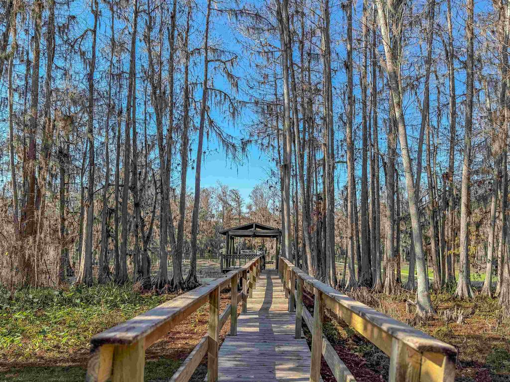 Photo of 5091 Lake Bluff Circle, Marianna, FL 32446 (MLS # 394210)