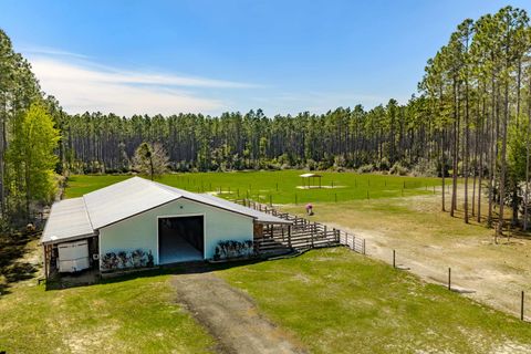 Tiny photo for 6939 Ranch Club Road, Tallahassee, FL 32305 (MLS # 394805)
