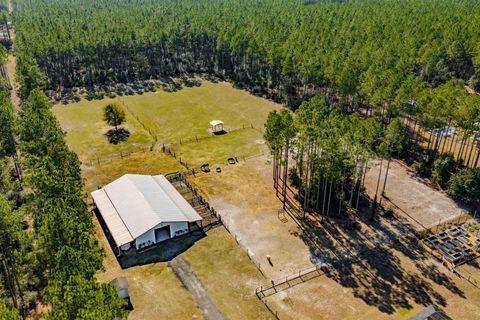 Tiny photo for 6939 Ranch Club Road, Tallahassee, FL 32305 (MLS # 394805)