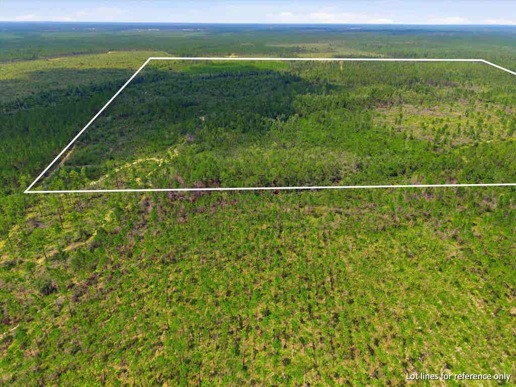 Photo of SW Scotts Ferry Road, Other, FL 32466 (MLS # 403082)