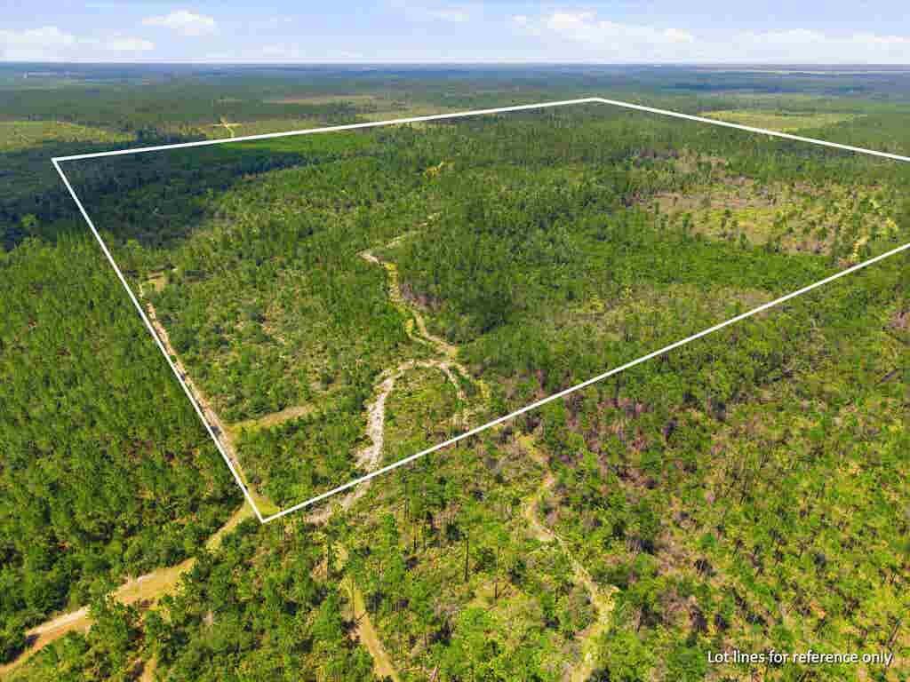 Photo of SW Scotts Ferry Road, Other, FL 32466 (MLS # 403082)