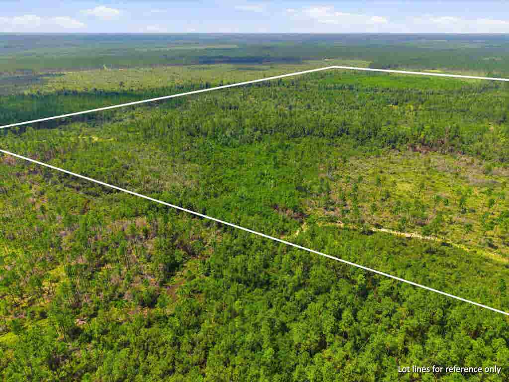 Photo of SW Scotts Ferry Road, Other, FL 32466 (MLS # 403082)