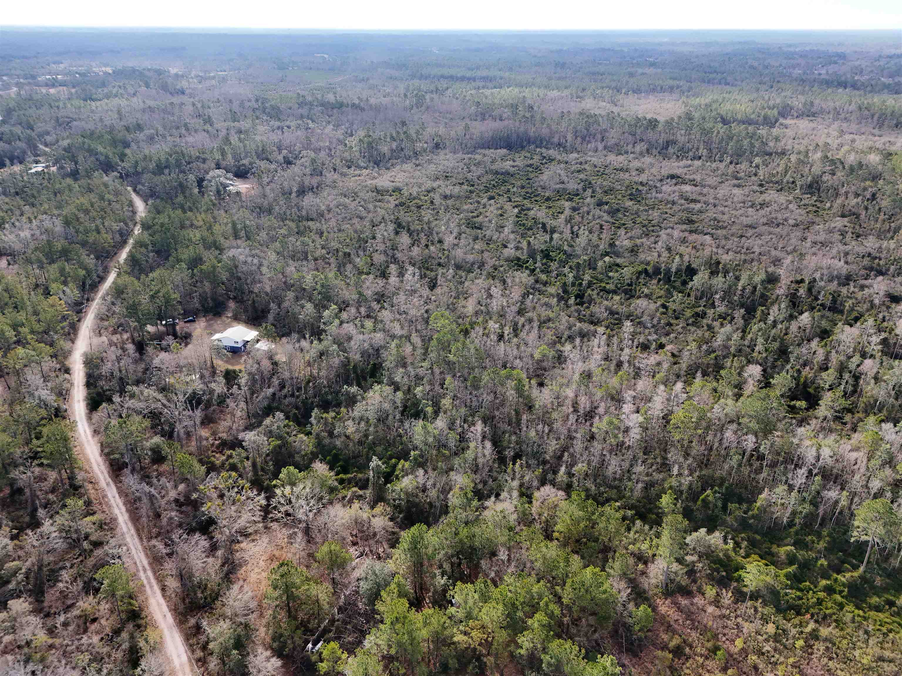 777 SW Wacissa Terrace