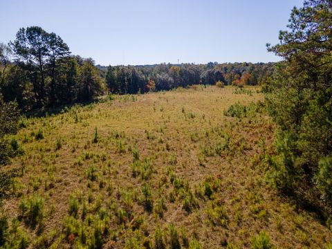 Tiny photo for Z Gardners Farm Road, Tallahassee, FL 32312 (MLS # 392307)