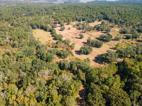 Tiny photo for Z Gardners Farm Road, Tallahassee, FL 32312 (MLS # 392307)