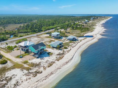 A home in ALLIGATOR POINT