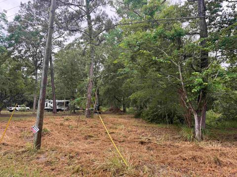 Tiny photo for 9640 ELGIN Road, Tallahassee, FL 32305 (MLS # 400489)