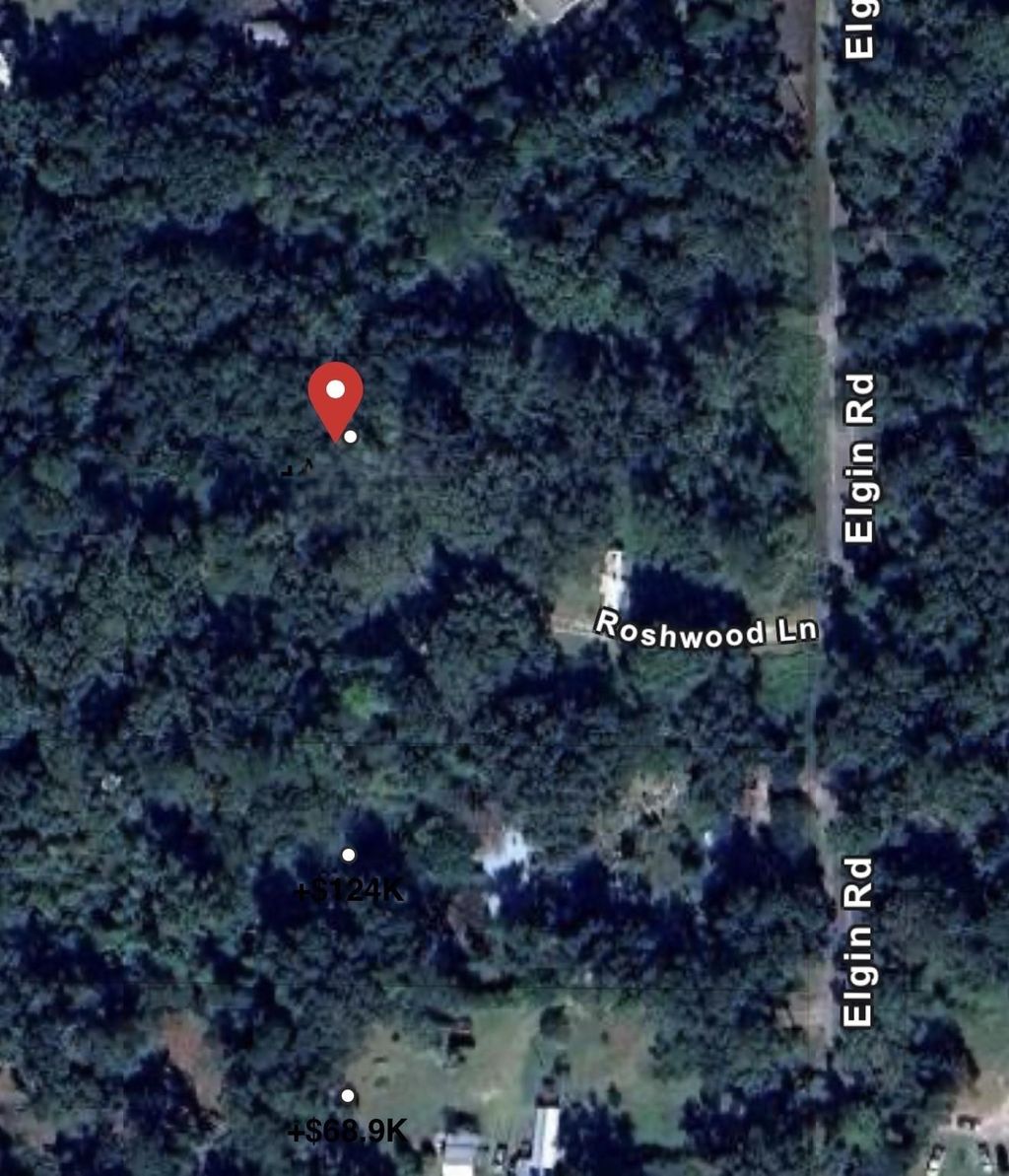 Photo of 9640 ELGIN Road, Tallahassee, FL 32305 (MLS # 400489)