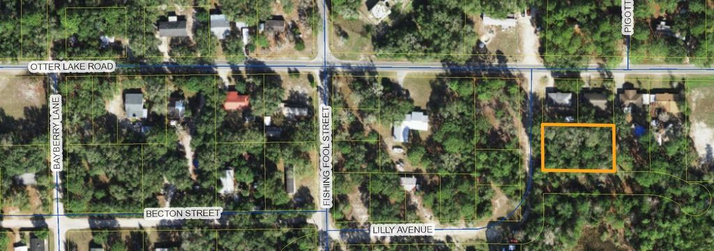 Photo of xx Lilly Avenue, Panacea, FL 32346 (MLS # 397509)