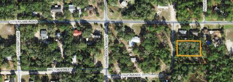 xx Lilly Avenue Panacea FL 32346