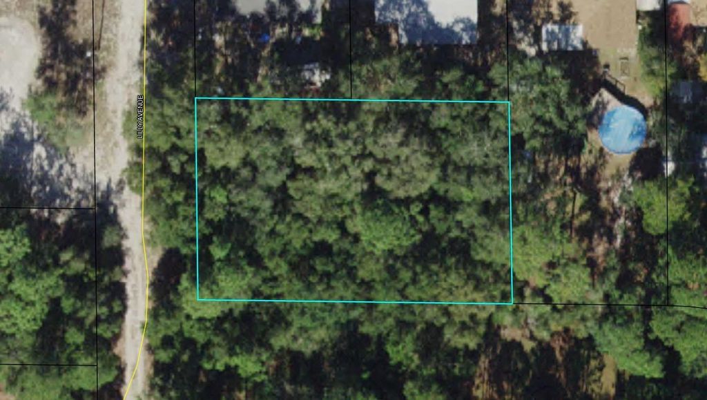 Photo of xx Lilly Avenue, Panacea, FL 32346 (MLS # 397509)