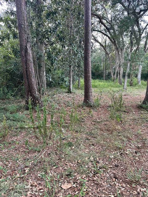 Tiny photo for xxx Trescott Drive, Tallahassee, FL 32308 (MLS # 392200)
