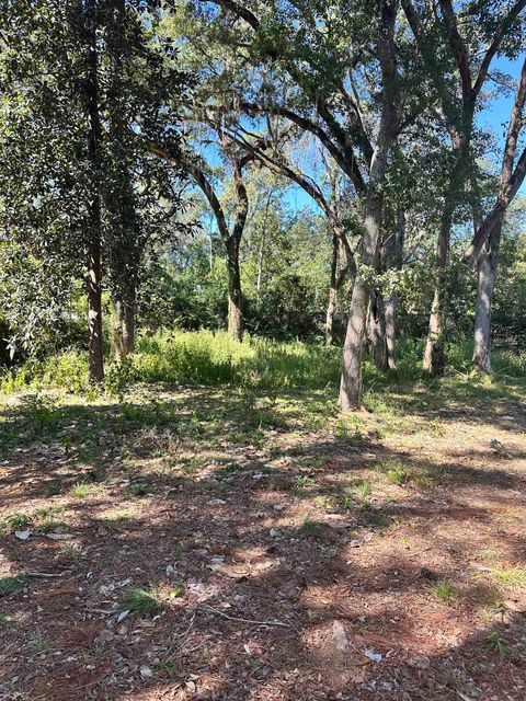 Tiny photo for xxx Trescott Drive, Tallahassee, FL 32308 (MLS # 392200)