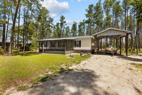 Tiny photo for 1421 Oak Pond Lane, Steinhatchee, FL 32359 (MLS # 396162)