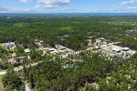 Tiny photo for 1421 Oak Pond Lane, Steinhatchee, FL 32359 (MLS # 396162)