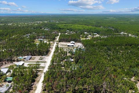 Tiny photo for 1421 Oak Pond Lane, Steinhatchee, FL 32359 (MLS # 396162)