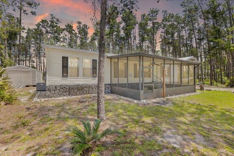 Photo of 1421 Oak Pond Lane, Steinhatchee, FL 32359 (MLS # 396162)