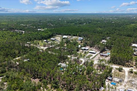 Tiny photo for 1421 Oak Pond Lane, Steinhatchee, FL 32359 (MLS # 396162)