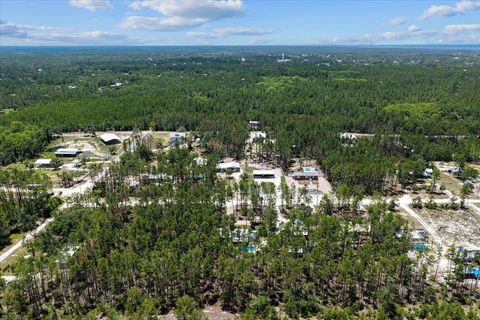 Tiny photo for 1421 Oak Pond Lane, Steinhatchee, FL 32359 (MLS # 396162)