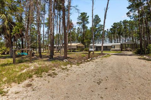 Tiny photo for 1421 Oak Pond Lane, Steinhatchee, FL 32359 (MLS # 396162)