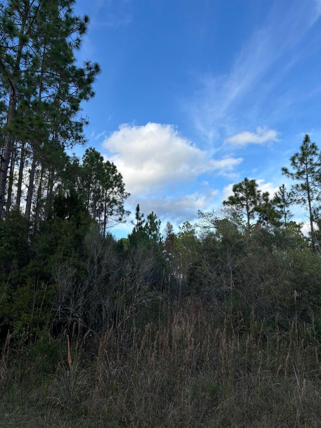 Photo of 727 Mill Rd, Carrabelle, FL 32322 (MLS # 394519)