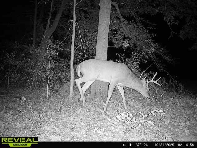 1701 SW Moseley Hall Road