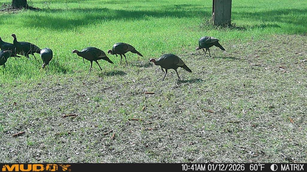 1701 SW Moseley Hall Road