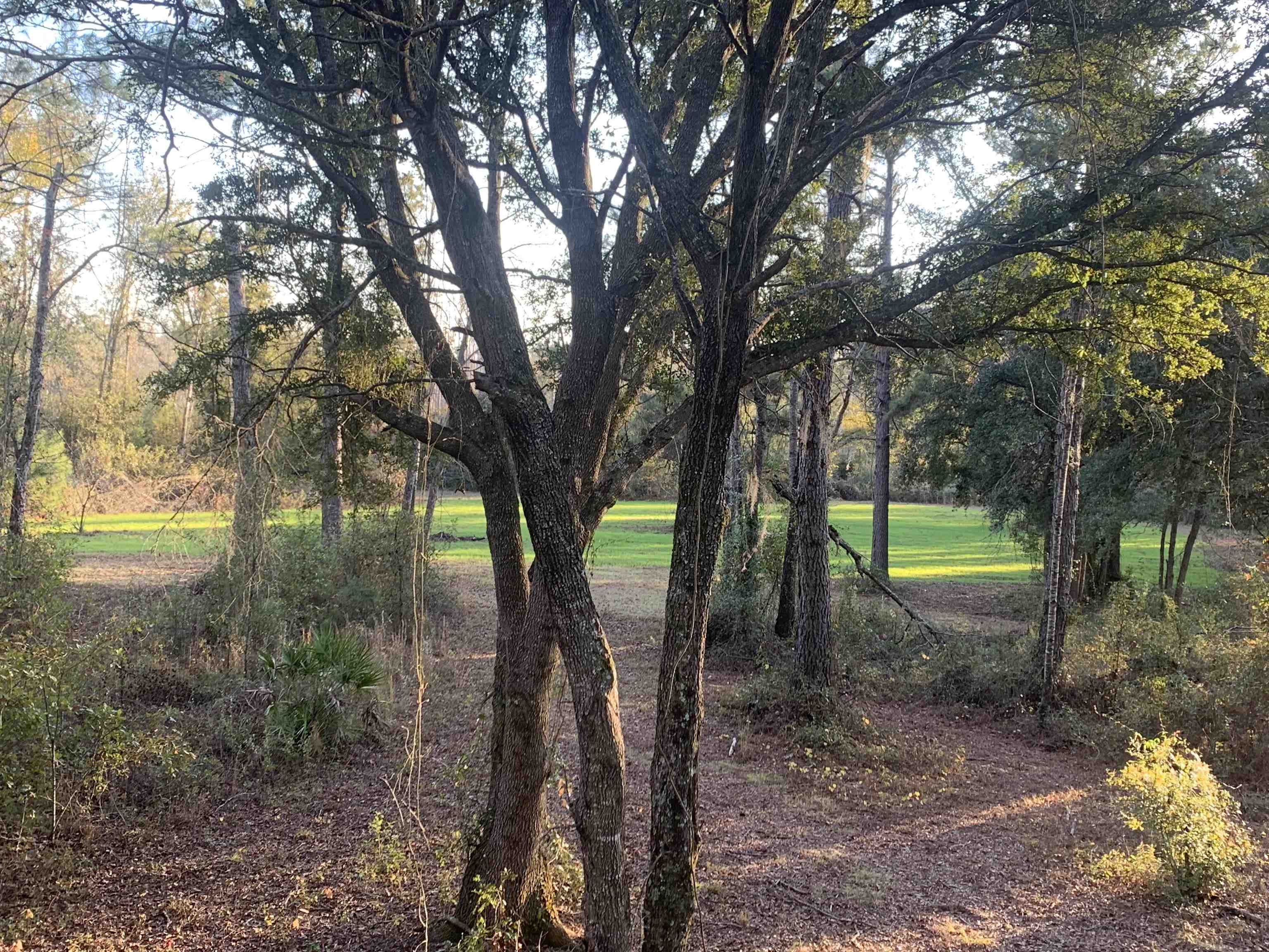 1701 SW Moseley Hall Road