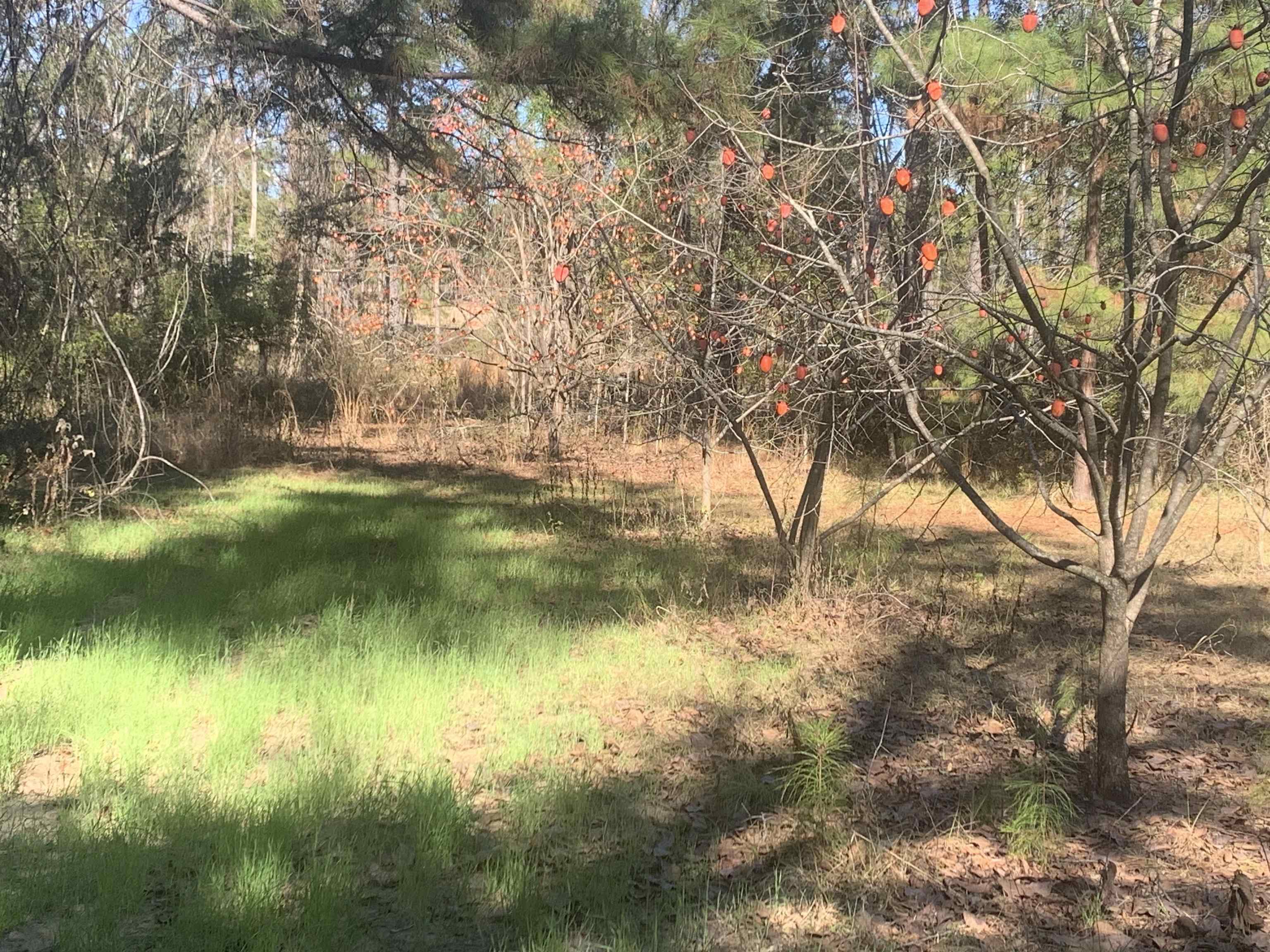 1701 SW Moseley Hall Road