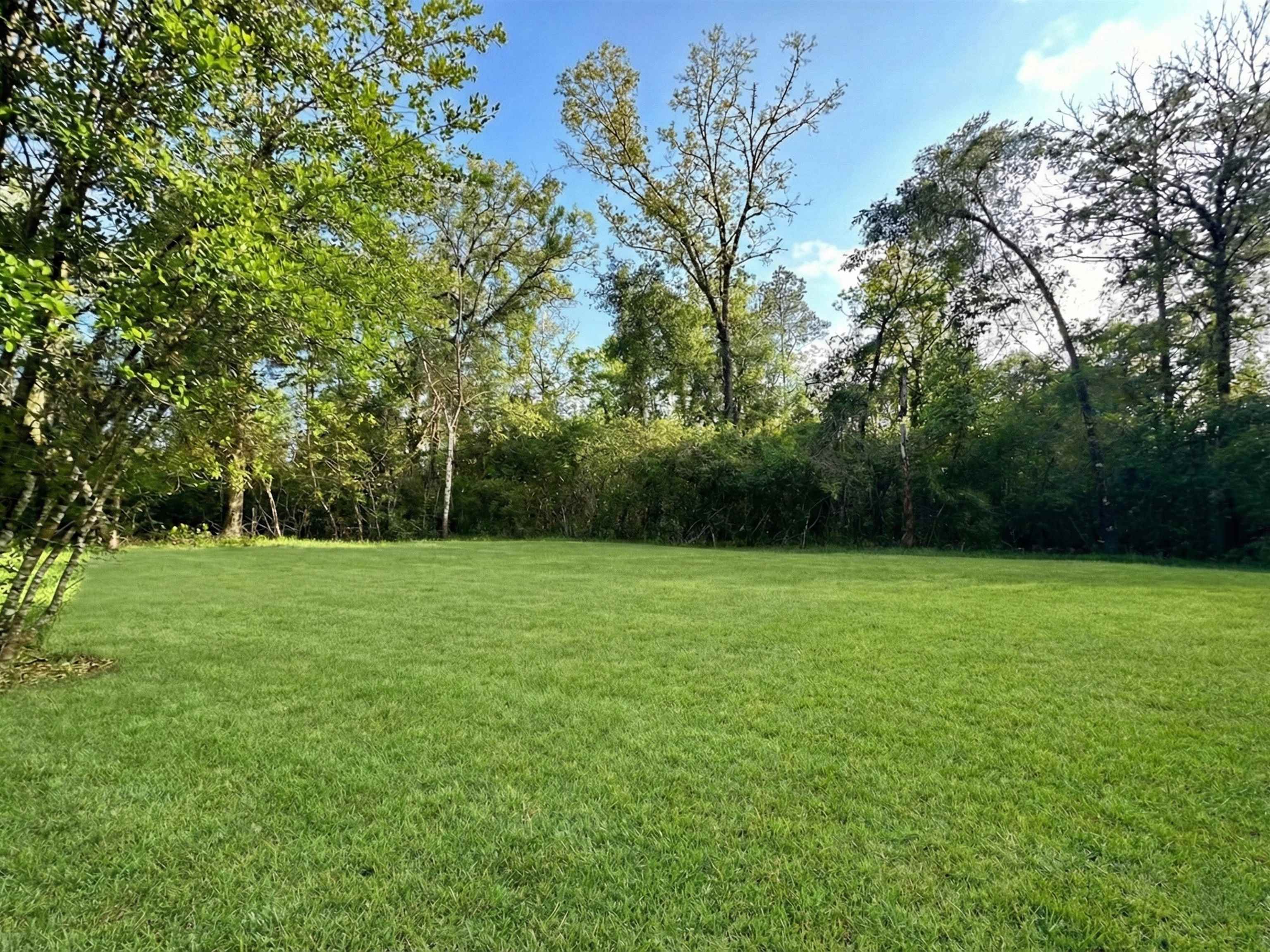 80 Basswood Drive