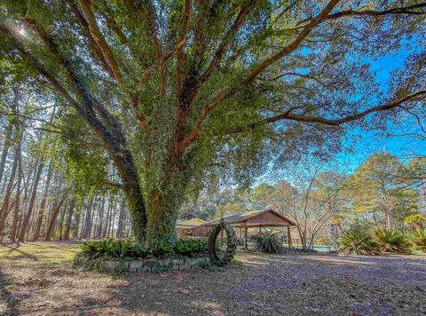 Tiny photo for 3371 Baum Road, Tallahassee, FL 32317 (MLS # 396026)