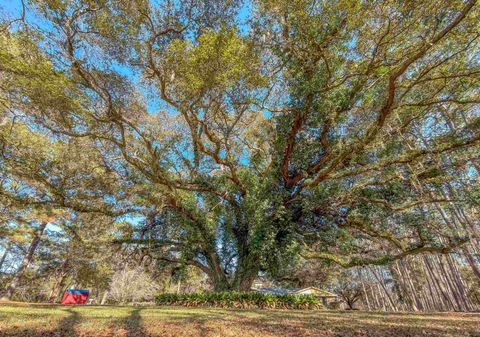 Tiny photo for 3371 Baum Road, Tallahassee, FL 32317 (MLS # 396026)