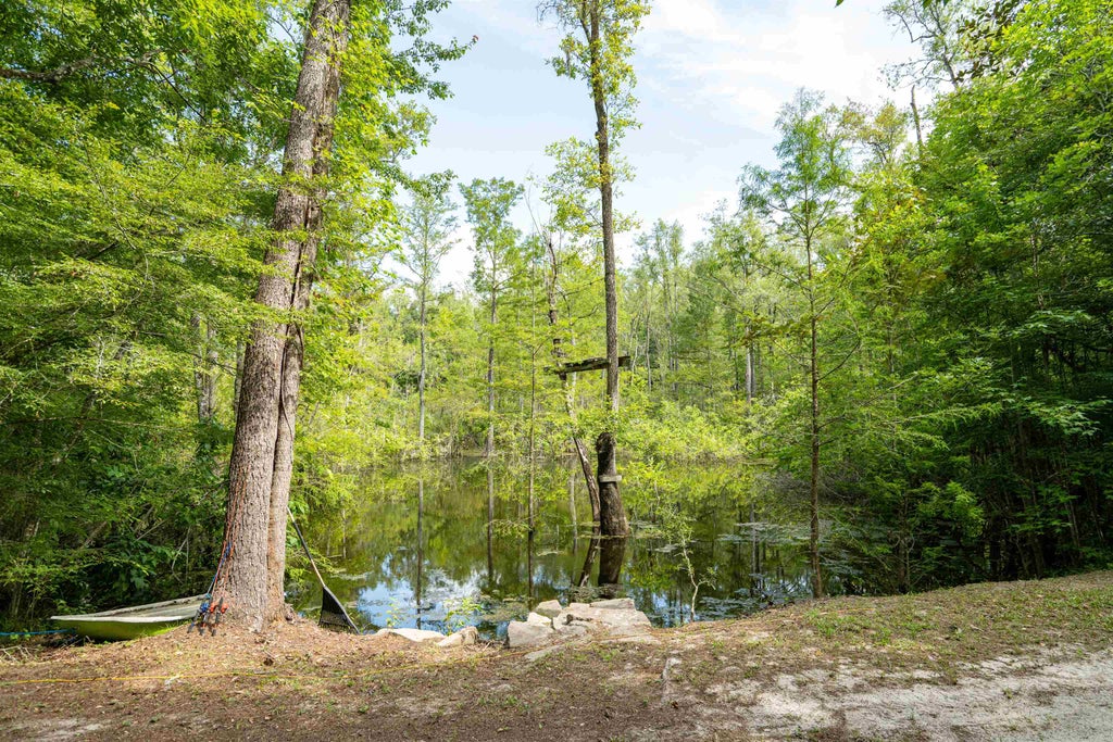 Photo of 76 Harley-Davidson Lane, Crawfordville, FL 32327 (MLS # 402511)