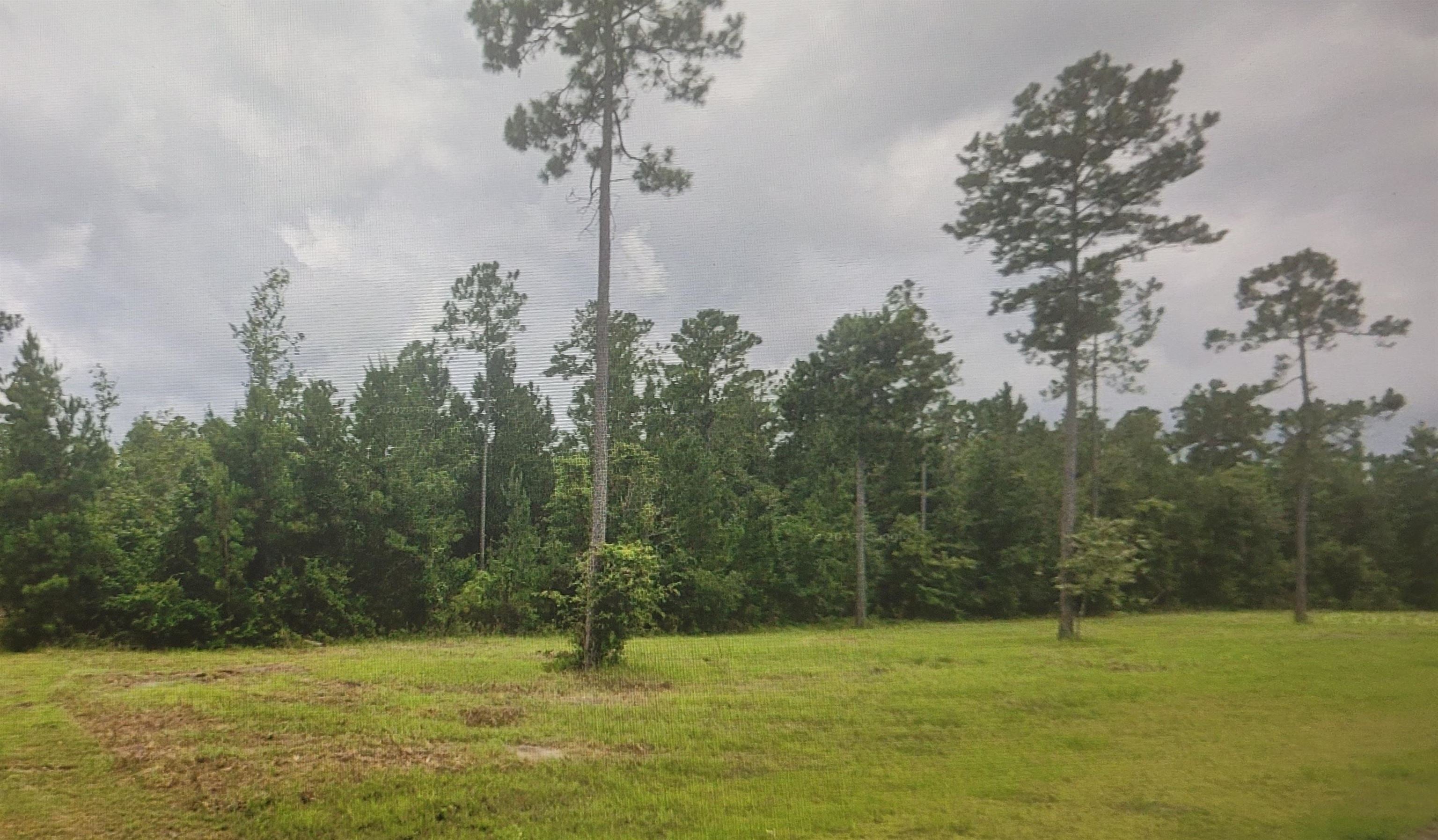 Photo 1 of 1 — CROSS COUNTRY BLVD, Marianna, FL 32446