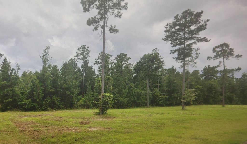 Photo of CROSS COUNTRY BLVD, Marianna, FL 32466 (MLS # 398314)