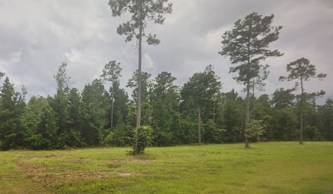 Photo of CROSS COUNTRY BLVD, Marianna, FL 32466 (MLS # 398314)