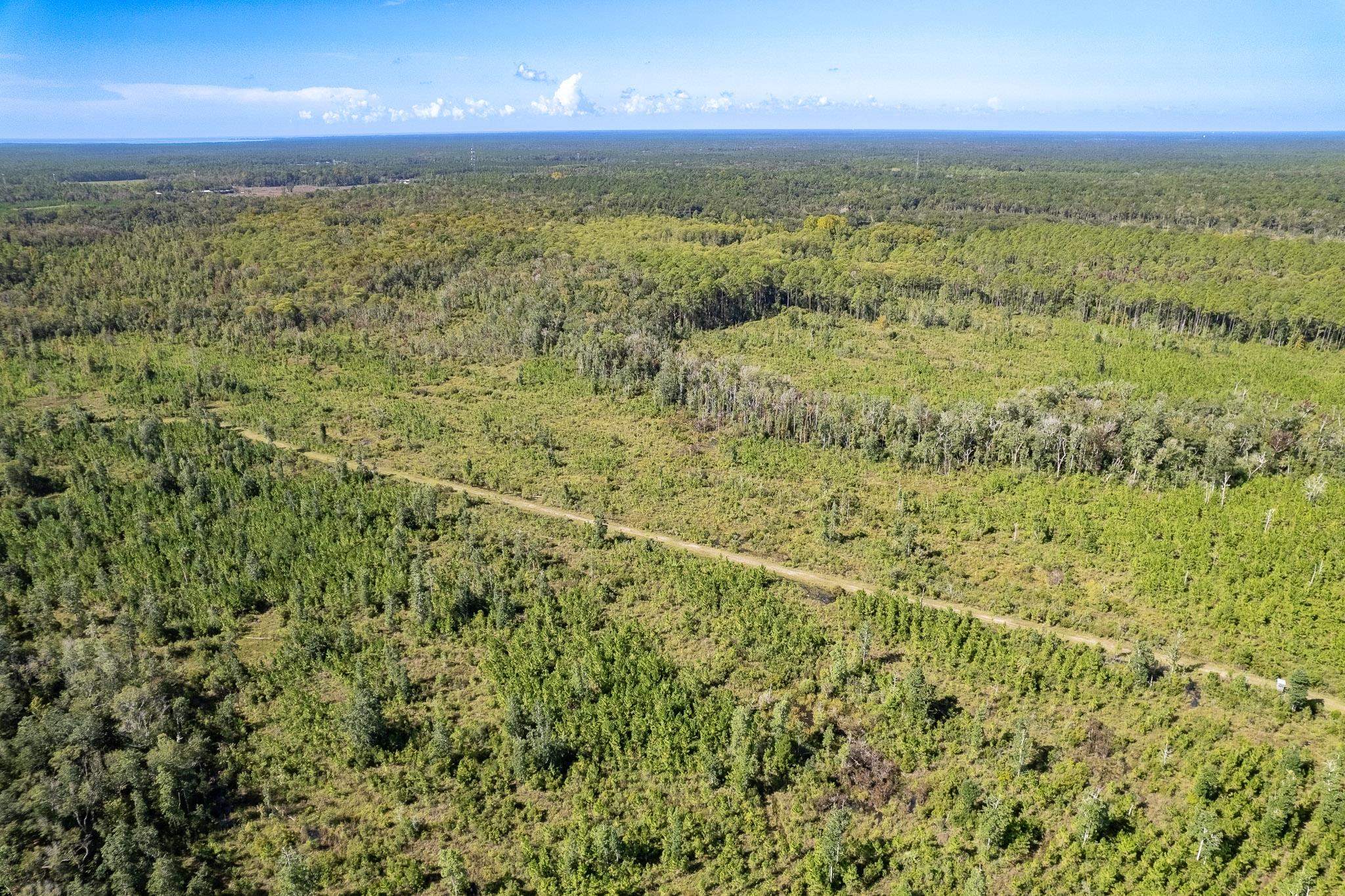 Lot 3 Growing Timbers Road