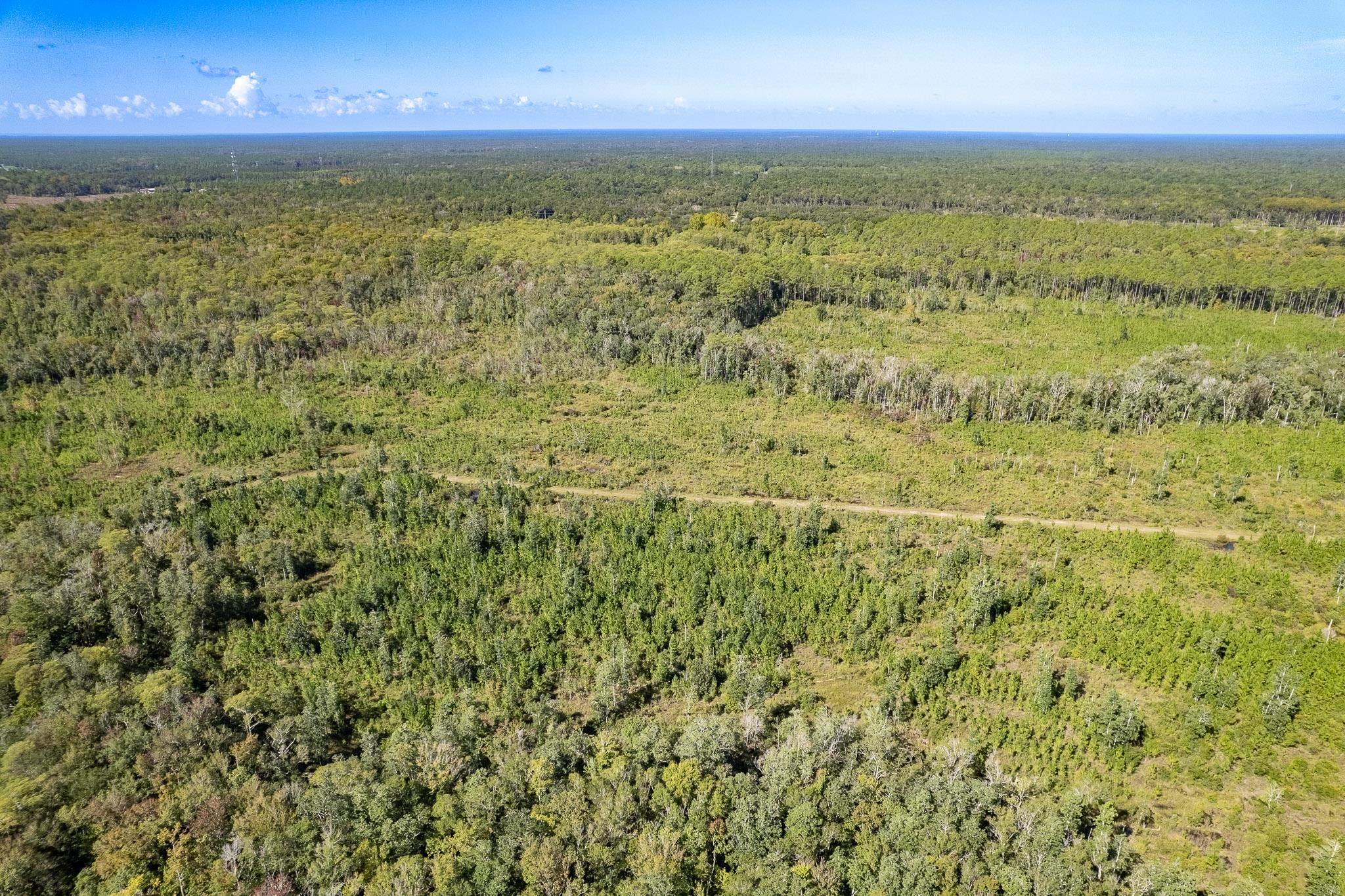 Lot 3 Growing Timbers Road
