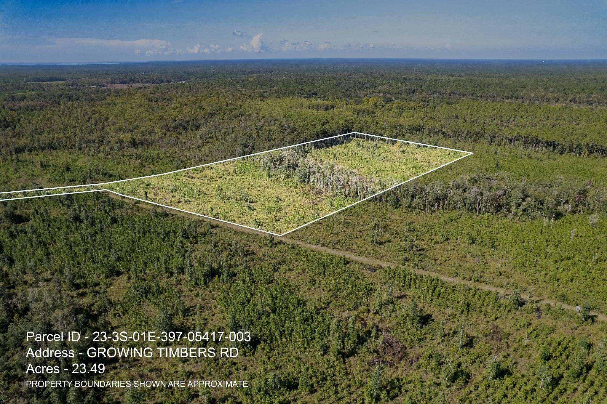 Lot 3 Growing Timbers Road