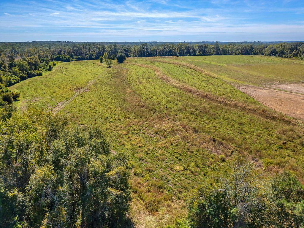 Photo of 000 Barnes Road, Monticello, FL 32344 (MLS # 392611)