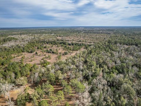 Photo of XXX Lawhon Mill Road, Crawfordville, FL 32327 (MLS # 394541)